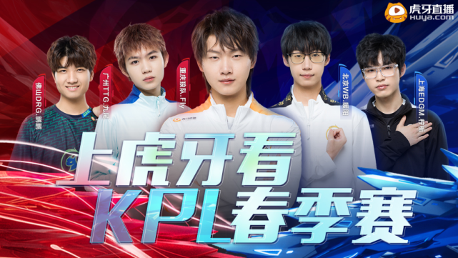 奇不仅代表 奇不仅代表