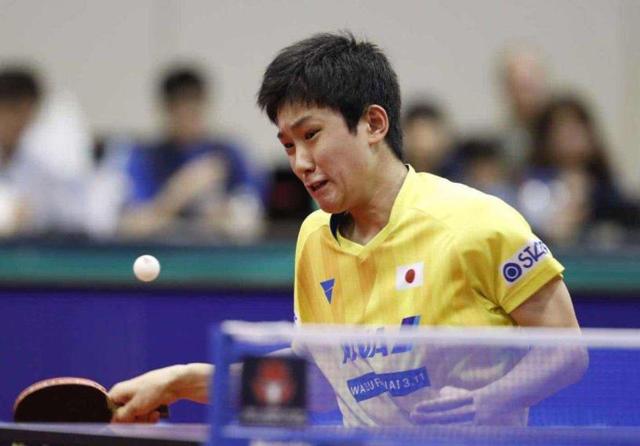 役无疑是羽 役无疑是羽