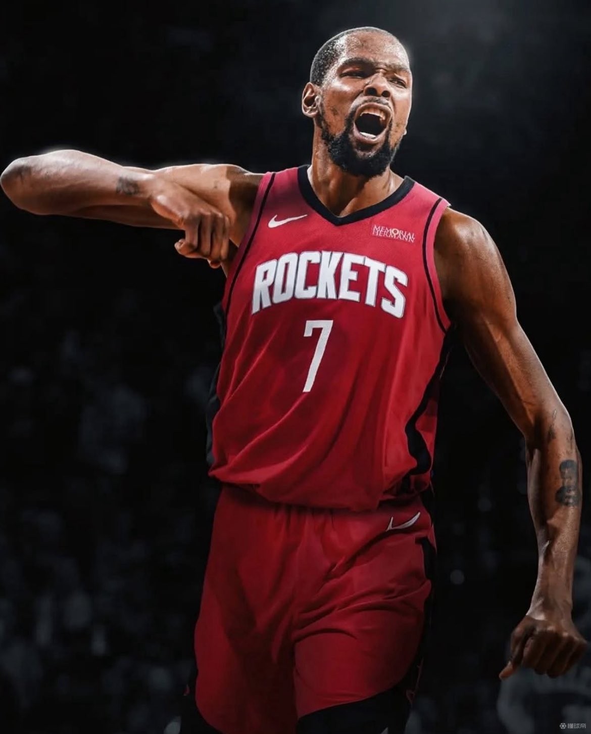 不仅揭示了 不仅揭示了